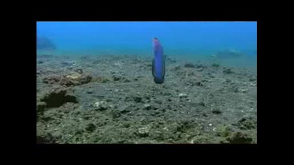 Fuck Planet Earth