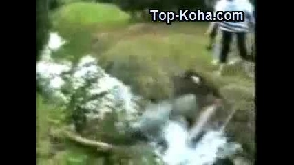 Смях :д :д
