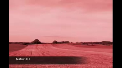 Нищо друго няма значение 