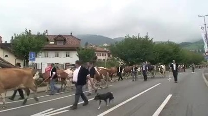 Фермери празнуват традиционен празник на планината 