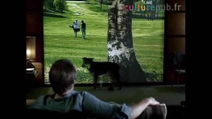 The dog