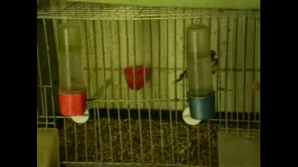 31 - 12 - 2007