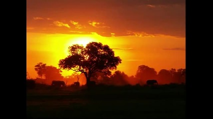 African music compilation - 38 minutes of african melodies