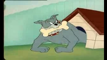 Tom & Jerry cartoon Hemza,  Thomas,  Lennart