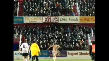 Terry Tate Office Linebacker - Streaker 