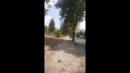 Vid_20230823_162023.mp4
