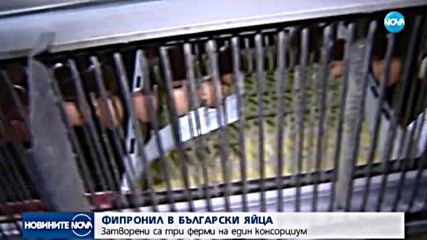 Откриха фипронил и в български яйца