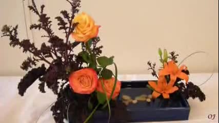 Dimitri Shostakovich - Waltz - Ikebana