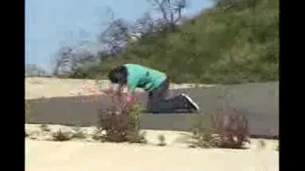 Ryan Sheckler Skateboarding 