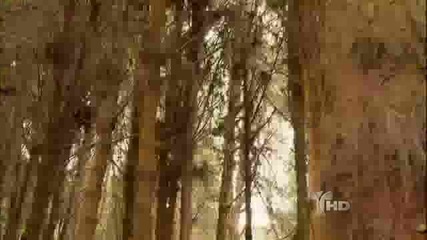 los herederos del monte capitulo 78 parte 5