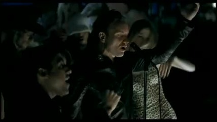 Sting - Desert Rose