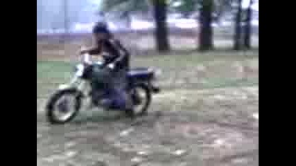 Lud Sus Simson (busmanci) 3