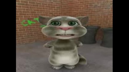 лудата котка :д