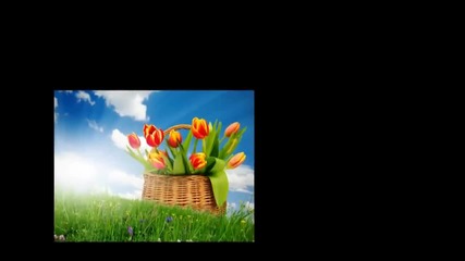 Цветен уикенд! ... ... (music Giovanni Marradi) ... ...