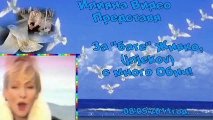 Весна Змиянац - Сто живота