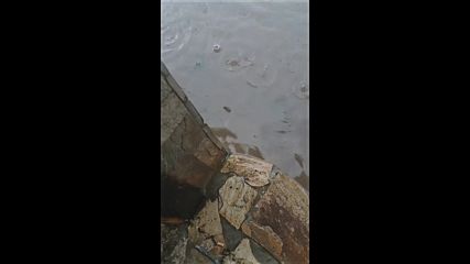 Ул. "Рашо Димитров" в Перник става като плувен басейн при всеки дъжд
