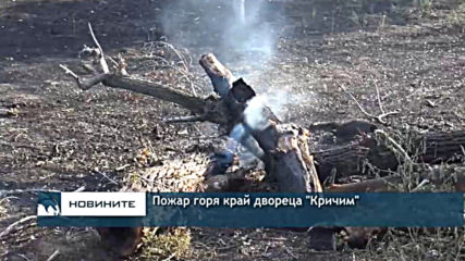 Пожар горя край двореца "Кричим"