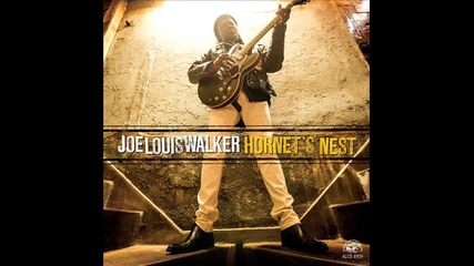 Joe Louis Walker - Stick A Fork In Me