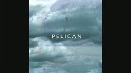 Pelican - Aurora Borealis 