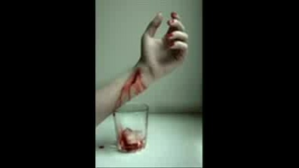 Bloody Pics