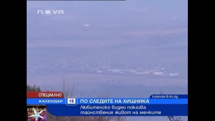 Мечки на Витоша, По следите на хищника, Календар Нова Телевизия