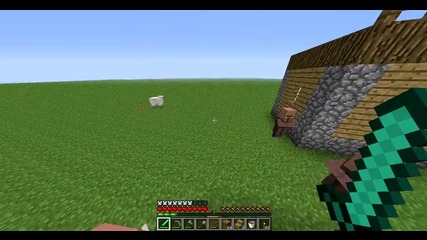 Minecraft Selo [end]