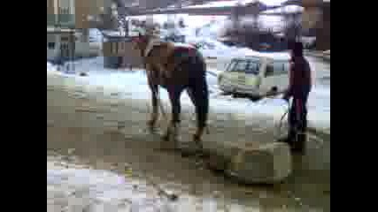 Me4o.kornica