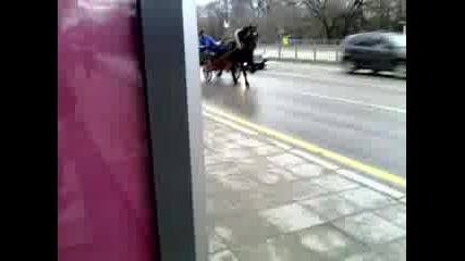 Gonka S Karychki