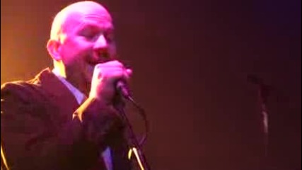 The Black Jacket Symphony - My Wife 