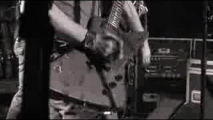 Nickelback - Animals