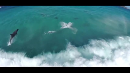 The Best Drone videos - 2015