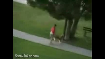 Water Balloon