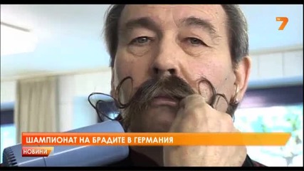 Бради - свободен стил / Шампионат на брадите в Германия