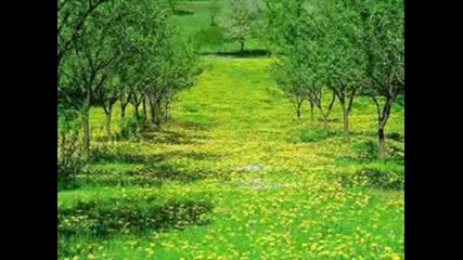 Most beautiful Quran recitation
