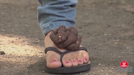 Смешна Скрита Камера