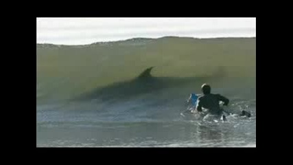Top 20 Most Unbelievable Photos Part 1