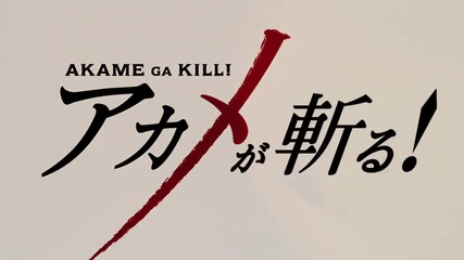 Akame Ga Kill! episode 24 [final] (бг събс)