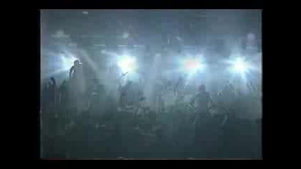 Beautiful Creatures in Japan - Wish (bootleg live)