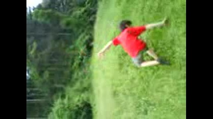 geinar 