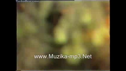 Saban Saulic - Plave Kose.mp4