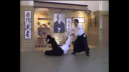 Iwama Ryu Aikido - Daniel Toutain