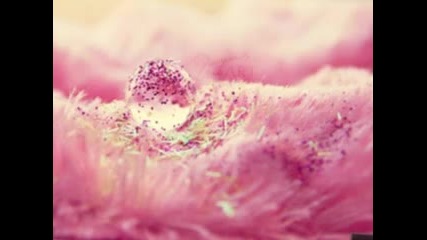 • Adrian Sina ft. Sandra N.- Angel•