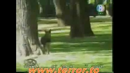 Пазете се! Един секс - маниак ви дебне! 