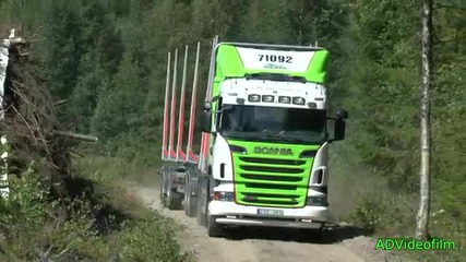 Scania Timber Truck, Max load on tough road, Sweden