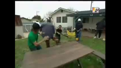 Jackass parody 