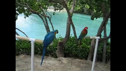 Tortola, British Virgin Islands