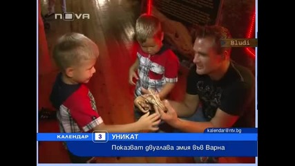 Уникaлна двуглава змия във Варна