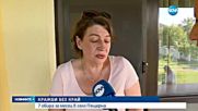 7 обира за месец в село Пещерна