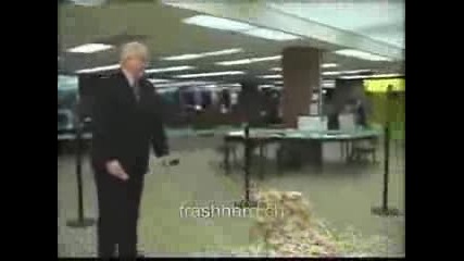 Jenga World record disaster