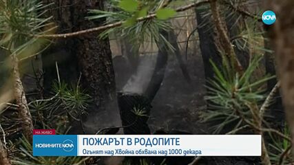 Частично бедствено положение в Община Чепеларе заради бушуващ пожар